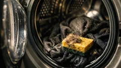 Tierhaare in der Wäsche? Mit diesem Schwamm-Trick wird’s deutlich weniger